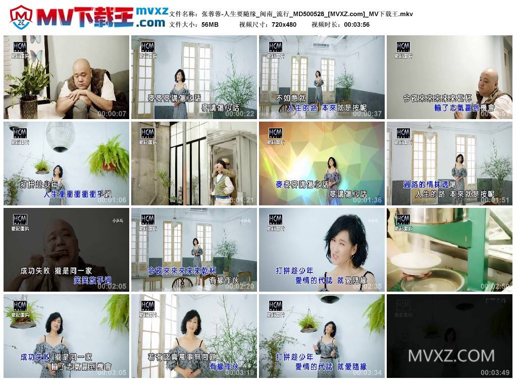 张蓉蓉-人生要随缘_闽南_流行_MD500528